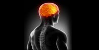 West Caldwell Chiropractor West Caldwell New Jersey NJ 07006 — Chiropractic clinic in Caldwell, NJ — photo 4